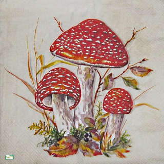 1 serviette papier Les champignons - 68