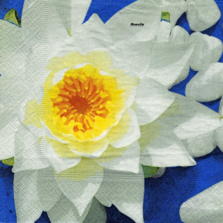 1 serviette papier Autres fleurs - 67