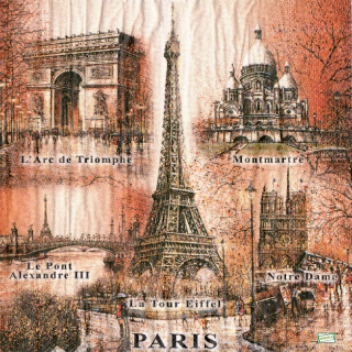 1 serviette papier Paris - 73