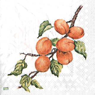 1 serviette papier Les Abricots - 72