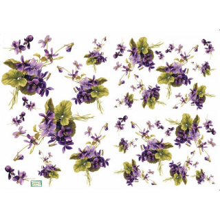 1 papier de découpage Les Violettes - D329M