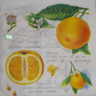 1 serviette papier Les Oranges - 7
