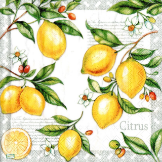 1 serviette papier Les Citrons - 55