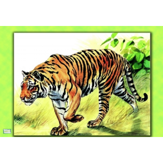 1 GRAND papier de riz Le tigre -ZAN119G