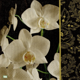 1 serviette papier Les Orchidés - 11