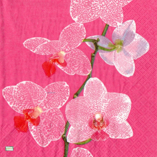 1 serviette papier Les Orchidés - 18