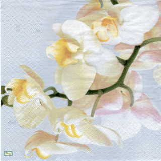 1 serviette papier Les Orchidés - 34