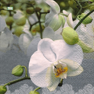 1 serviette papier Les Orchidés - 41