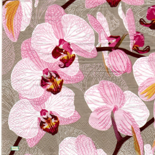 1 serviette papier Les Orchidés - 51