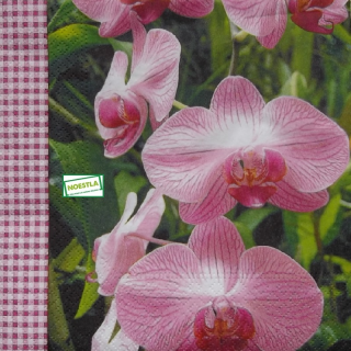 1 serviette papier Les Orchidés - 57