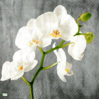 1 serviette papier Les Orchidés - 61