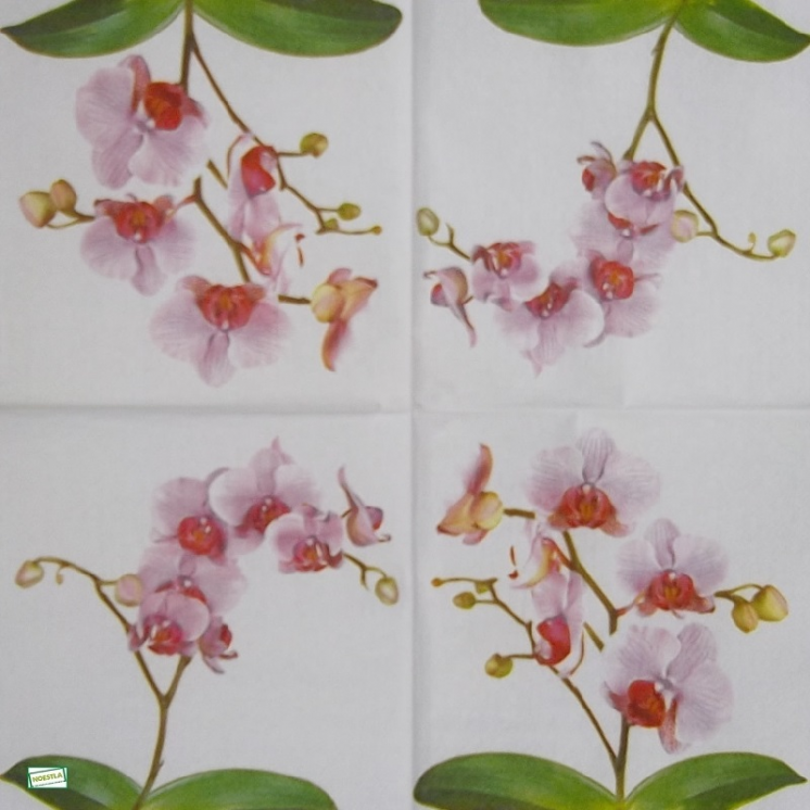 1 serviette papier Les Orchidés - 64