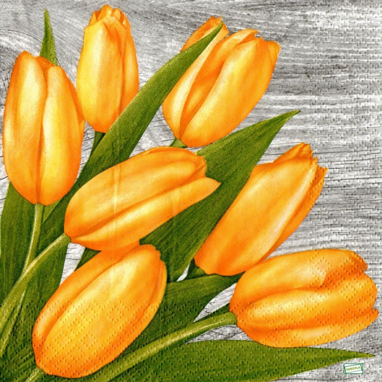 1 serviette papier  Les tulipes - 7