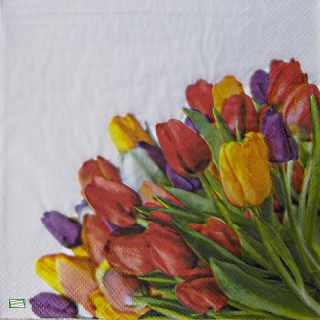 1 serviette papier  Les tulipes - 8