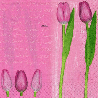 1 serviette papier  Tulipes - 21