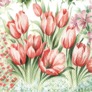 1 serviette papier  Tulipes - 26