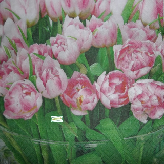1 serviette papier  Tulipes - 27